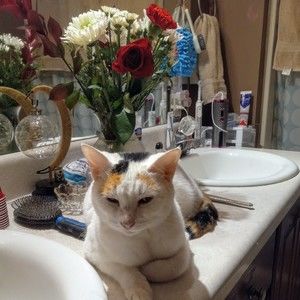 Meet your Posher, Barbara